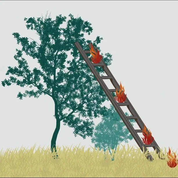 thumbnail for publication: Fire in the Wildland-Urban Interface: Selecting Firewise Shrubs to Reduce Wildfire Risk